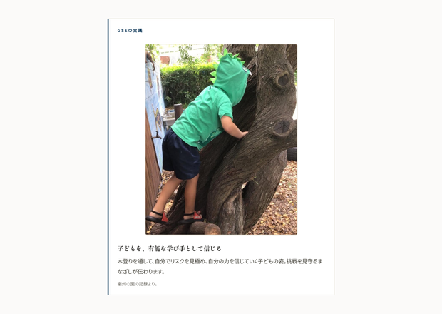 GSEの実践の実ページ